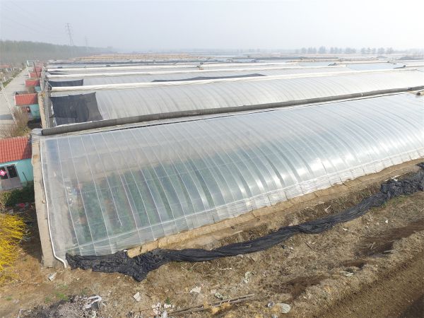 漲知識(shí)！專業(yè)溫室大棚建設(shè)要點(diǎn)